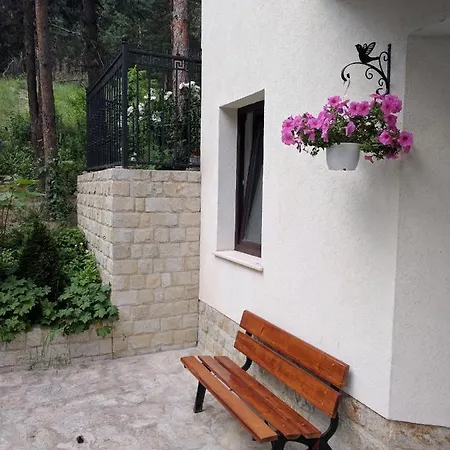 Διαμέρισμα Bendida Βέλινγκραντ